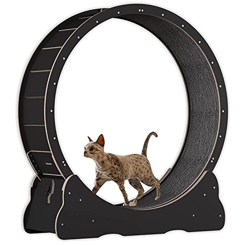 Cat Exercise Wheel Indoor Treadmill Small Animals Exercise Wheels, cat Runway, Fitness Weight Loss Device, Cat Running Wheel, Pet Toy, Large-Sized cat Wheel,Black-L von ExoticaBlend