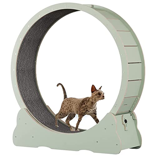 Katzenlaufrad Aufgebautes Laufrad für Katzen - Katzenrad Komplett Montiert für Innen mit Extra Sicherheit und Pfotenschutz,Green-L von ExoticaBlend