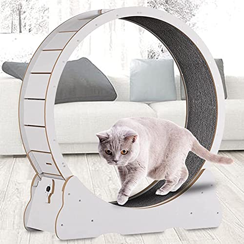 Katzenlaufrad Aufgebautes Laufrad für Katzen - Katzenrad Komplett Montiert für Innen mit Extra Sicherheit und Pfotenschutz,White-L von ExoticaBlend