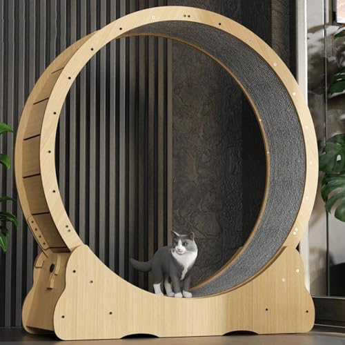 Katzenlaufrad Aufgebautes Laufrad für Katzen - Katzenrad aus Massivholz komplett montiert für innen mit Extra Sicherheit und Pfotenschutz,L von ExoticaBlend