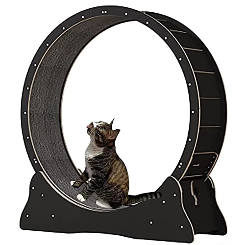 Katzenlaufrad Indoor Laufband, Katzenlaufrad Katze mit Austauschbaren Griffpads, Verriegelungsmechanismus, TPE leise und Geräuschlose Rollen,Black-S von ExoticaBlend