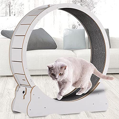 Katzenlaufrad Indoor Laufband, Katzenlaufrad Katze mit Austauschbaren Griffpads, Verriegelungsmechanismus, TPE leise und Geräuschlose Rollen,White-M von ExoticaBlend