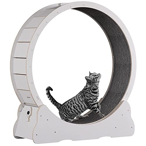 Katzenlaufrad Laufrad für Katzen, Laufrad Katze, Laufband mit Teppichboden, Katzenrad Fitnessgerät zur Gewichtsabnahme, für EIN längeres Leben der Katze,White-L Katzenlaufrad Laufrad für Katzen, Laufrad Katze, Laufband mit Teppichboden, Katzenrad Fitnessgerät zur Gewichtsabnahme, für EIN längeres Leben der Katze,White-L von ExoticaBlend
