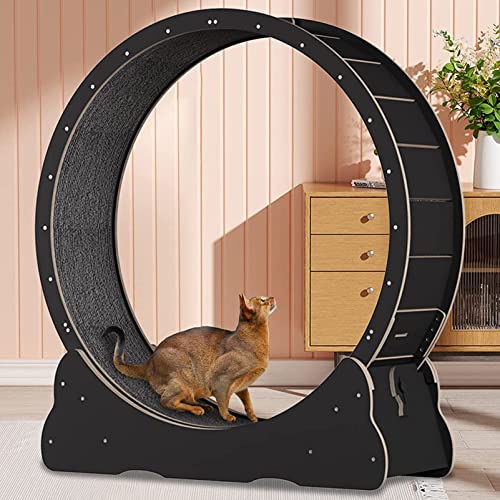 Katzenlaufrad aus Holz -Spiel- & Trainingsgerät für Katzen, Ultra-leises Laufen für Katze Gesund,Black-XL von ExoticaBlend