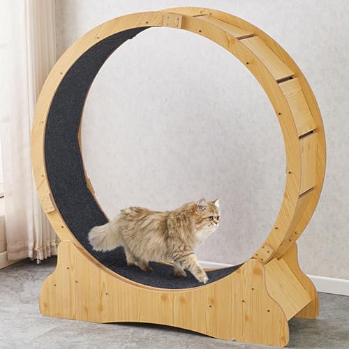 Katzenlaufrad aus Massivholz, Laufrad Katze, Cat Wheel für gesunde Bewegung und Entspannung für die Gesundheit der Katze,M von ExoticaBlend