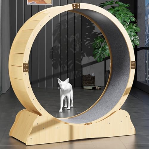Katzenlaufrad für Indoor-Katzen, Katzenlaufrad, Einfach Montiertes Katzen-Laufbandrad, Ultra-leises Laufen für die Gesundheit der Katze,M Katzenlaufrad für Indoor-Katzen, Katzenlaufrad, Einfach Montiertes Katzen-Laufbandrad, Ultra-leises Laufen für die Gesundheit der Katze,M von ExoticaBlend