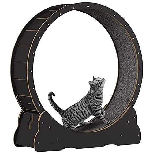 Katzenlaufrad für Indoor-Katzen, Katzenlaufrad, Einfach montiertes Katzen-Laufbandrad, Ultra-leises Laufen für die Gesundheit der Katze,Black-XL Katzenlaufrad für Indoor-Katzen, Katzenlaufrad, Einfach montiertes Katzen-Laufbandrad, Ultra-leises Laufen für die Gesundheit der Katze,Black-XL von ExoticaBlend