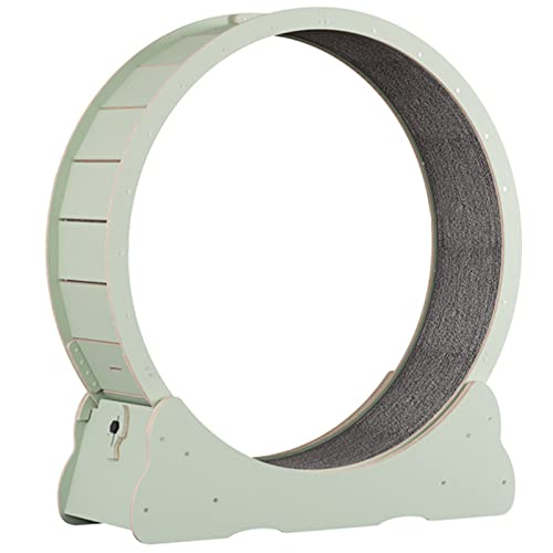 Katzenlaufrad für Indoor-Katzen, Katzenlaufrad, Einfach montiertes Katzen-Laufbandrad, Ultra-leises Laufen für die Gesundheit der Katze,Green-M Katzenlaufrad für Indoor-Katzen, Katzenlaufrad, Einfach montiertes Katzen-Laufbandrad, Ultra-leises Laufen für die Gesundheit der Katze,Green-M von ExoticaBlend