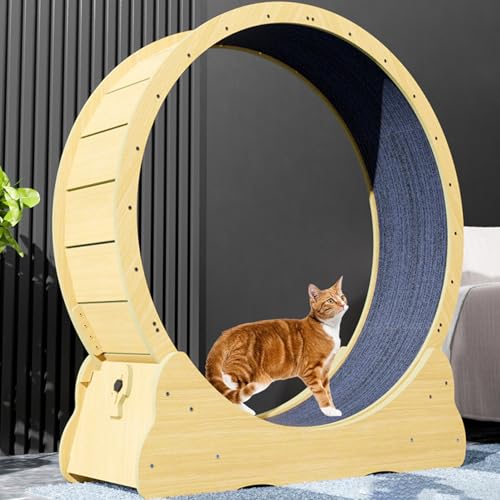 Katzenlaufrad für Wohnungskatzen, Leises Kleines Mittelgroßes Laufrad für Katzen, Kleine Lücke Haustier Katze Laufrad Spielzeug mit Bremse,L Katzenlaufrad für Wohnungskatzen, Leises Kleines Mittelgroßes Laufrad für Katzen, Kleine Lücke Haustier Katze Laufrad Spielzeug mit Bremse,L von ExoticaBlend
