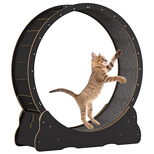 Katzenrad Katzenlaufband Laufband Laufrad Niedliche Katzenmöbel Haustier Spielzeug Katzenspielzeug Katzen Abnehmen Gerät,Black-M von ExoticaBlend