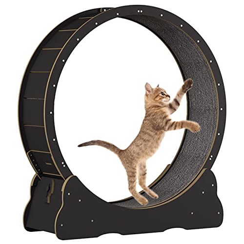 Katzenrad Katzenlaufband Laufband Laufrad Niedliche Katzenmöbel Haustier Spielzeug Katzenspielzeug Katzen Abnehmen Gerät,Black-XL Katzenrad Katzenlaufband Laufband Laufrad Niedliche Katzenmöbel Haustier Spielzeug Katzenspielzeug Katzen Abnehmen Gerät,Black-XL von ExoticaBlend