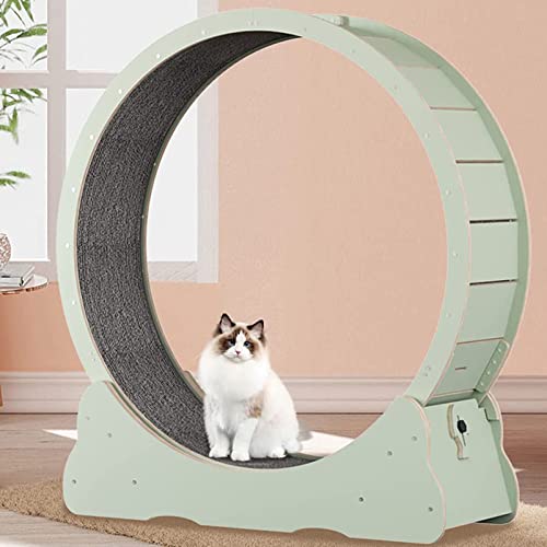 Katzenrad Katzenlaufband Laufband Laufrad Niedliche Katzenmöbel Haustier Spielzeug Katzenspielzeug Katzen Abnehmen Gerät,Green-XL von ExoticaBlend