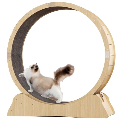 Katzenrad-Trainingsgerät für Indoor-Katzen, Katzenlaufrad, Einfach Montiertes Katzenlaufband mit Verriegelungsmechanismus, Ultra-leises Laufen für Katze Gesund,M Katzenrad-Trainingsgerät für Indoor-Katzen, Katzenlaufrad, Einfach Montiertes Katzenlaufband mit Verriegelungsmechanismus, Ultra-leises Laufen für Katze Gesund,M von ExoticaBlend