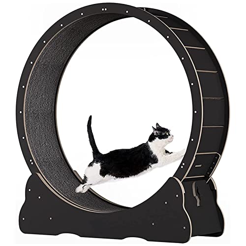 Katzenrad-Trainingsgerät für Indoor-Katzen, Katzenlaufrad, Einfach montiertes Katzenlaufband mit Verriegelungsmechanismus, Ultra-leises Laufen für Katze Gesund,Black-M Katzenrad-Trainingsgerät für Indoor-Katzen, Katzenlaufrad, Einfach montiertes Katzenlaufband mit Verriegelungsmechanismus, Ultra-leises Laufen für Katze Gesund,Black-M von ExoticaBlend