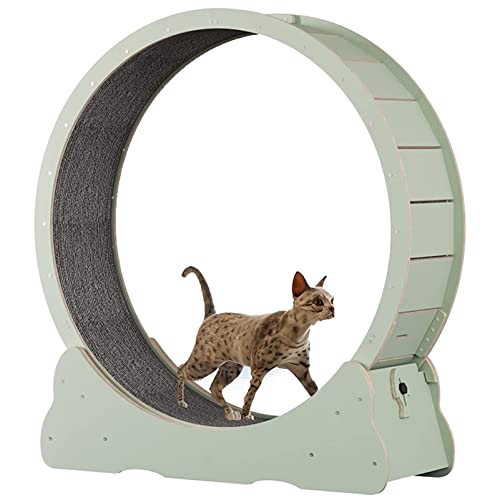 Katzenrad-Trainingsgerät für Indoor-Katzen, Katzenlaufrad, Einfach montiertes Katzenlaufband mit Verriegelungsmechanismus, Ultra-leises Laufen für Katze Gesund,Green-S von ExoticaBlend