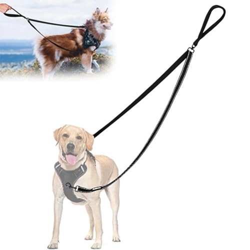 Doppelleine Hund,No Pull Anti-Zieh Hundeleine,Hundeleine Doppelleine,Keine Verwicklung Doppelleine Für Geschirr,Reflektierend Hundeleine Zum Trainieren Und Gassi Gehen Für Große Mittlere Hunde(Schwarz Doppelleine Hund,No Pull Anti-Zieh Hundeleine,Hundeleine Doppelleine,Keine Verwicklung Doppelleine Für Geschirr,Reflektierend Hundeleine Zum Trainieren Und Gassi Gehen Für Große Mittlere Hunde(Schwarz von Explcior