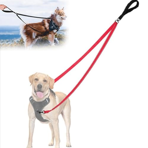 Doppelleine Hund,No Pull Anti-Zieh Hundeleine,Hundeleine Doppelleine,Keine Verwicklung Doppelleine Für Geschirr,Reflektierend Hundeleine Zum Trainieren Und Gassi Gehen Für Große Mittlere Hunde(Red) Doppelleine Hund,No Pull Anti-Zieh Hundeleine,Hundeleine Doppelleine,Keine Verwicklung Doppelleine Für Geschirr,Reflektierend Hundeleine Zum Trainieren Und Gassi Gehen Für Große Mittlere Hunde(Red) von Explcior