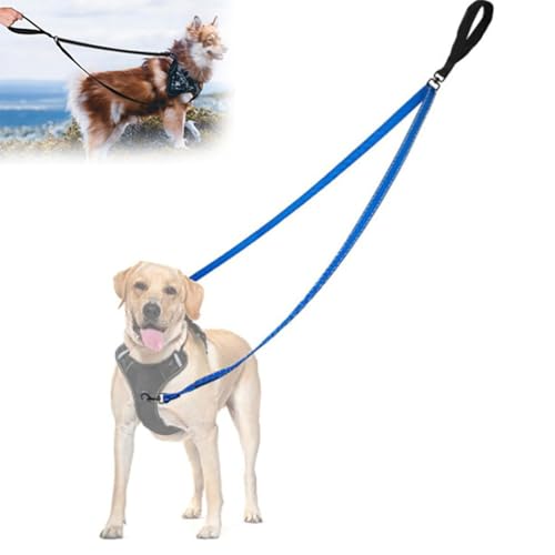 Doppelleine Hund,No Pull Anti-Zieh Hundeleine,Hundeleine Doppelleine,Keine Verwicklung Doppelleine Für Geschirr,Reflektierend Hundeleine Zum Trainieren Und Gassi Gehen Für Große Mittlere Hunde(Blue) Doppelleine Hund,No Pull Anti-Zieh Hundeleine,Hundeleine Doppelleine,Keine Verwicklung Doppelleine Für Geschirr,Reflektierend Hundeleine Zum Trainieren Und Gassi Gehen Für Große Mittlere Hunde(Blue) von Explcior
