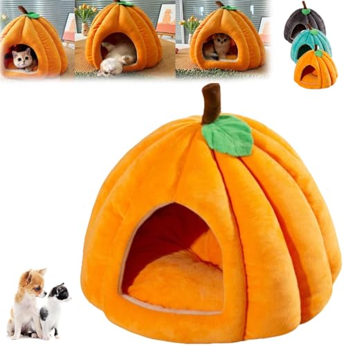 Kürbis-Katzenbett für Welpen Und Kätzchen, Süße Katzencouch in KürbisformHaustiere Im Haus, Flauschiges Katzenhaussofa, Warmes Höhlenzelt für Kleine Hunde, Rutschfestes Nest-Schlafbett(Orange,XS) von Explcior