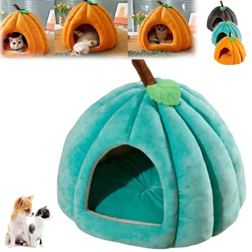 Kürbis-Katzenbett für Welpen Und Kätzchen, Süße Katzencouch in KürbisformHaustiere Im Haus, Flauschiges Katzenhaussofa, Warmes Höhlenzelt für Kleine Hunde, Rutschfestes Nest-Schlafbett(Blue,S) von Explcior
