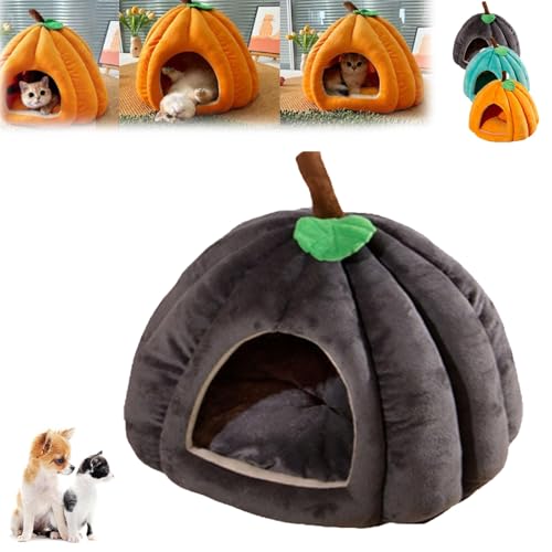 Kürbis-Katzenbett für Welpen Und Kätzchen, Süße Katzencouch in KürbisformHaustiere Im Haus, Flauschiges Katzenhaussofa, Warmes Höhlenzelt für Kleine Hunde, Rutschfestes Nest-Schlafbett(Gray,S) von Explcior