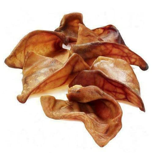 Express Pet Supplies 10 x extra große Schweineohren, Kauspielzeug für Hunde Express Pet Supplies 10 x extra große Schweineohren, Kauspielzeug für Hunde von Express Pet Supplies