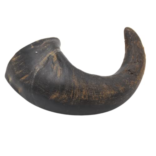 Express Pet Supplies Kauspielzeug für Hunde, Büffelhorn, mittelgroß, 5 Stück Express Pet Supplies Kauspielzeug für Hunde, Büffelhorn, mittelgroß, 5 Stück von Express Pet Supplies