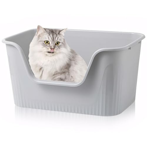 Exquilnova Katzenklo Groß 64x45x33cm, Katzenklo Hoher Rand Ohne Deckel, Katzentoiletten Offen, Spritzwassergeschützt Groß Katzen Klo, Katzentoilette XXL für Große Katzen, Kätzchen, Kaninchen von Exquilnova