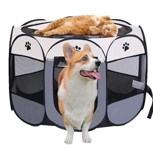 Exquilnova Tragbarer Welpenauslauf, Hundelaufstall Faltbar Laufstall Katzengehege für Wohnung, Welpenlaufstall für Drinnen Wasserdichtes Oxford-Tuch für Hunde Katzen Kaninchen, 74 x 74 x 43 cm (Grau) Exquilnova Tragbarer Welpenauslauf, Hundelaufstall Faltbar Laufstall Katzengehege für Wohnung, Welpenlaufstall für Drinnen Wasserdichtes Oxford-Tuch für Hunde Katzen Kaninchen, 74 x 74 x 43 cm (Grau) von Exquilnova