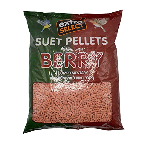 Extra Select High Energy Talgpellets Berry, 3 kg, Nachfüllpackung von Extra Select