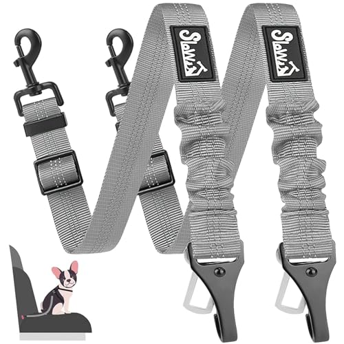 Eyein 2 Stück Hunde Sicherheitsgurt für Auto, Verstellbare Hundegurt fürs Auto mit Elastischer Ruckdämpfung, 3 in 1 reflektierend Hunde Anschnallgurt für alle Hunderassen & Autotypen, 70cm (Grau) Eyein 2 Stück Hunde Sicherheitsgurt für Auto, Verstellbare Hundegurt fürs Auto mit Elastischer Ruckdämpfung, 3 in 1 reflektierend Hunde Anschnallgurt für alle Hunderassen & Autotypen, 70cm (Grau) von Eyein