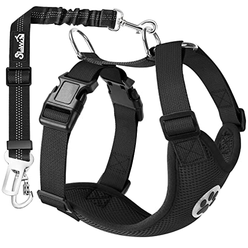 Eyein Hundegeschirr mit Sicherheitsgurt für Auto, 2 Karabinerhaken - verbunden mit Sicherheitsgurt-Schnalle, Kinder-Sicherheitssitz oder Trunk, verstellbare atmungsaktiv Geschirr (Schwarz, XXS) Eyein Hundegeschirr mit Sicherheitsgurt für Auto, 2 Karabinerhaken - verbunden mit Sicherheitsgurt-Schnalle, Kinder-Sicherheitssitz oder Trunk, verstellbare atmungsaktiv Geschirr (Schwarz, XXS) von Eyein
