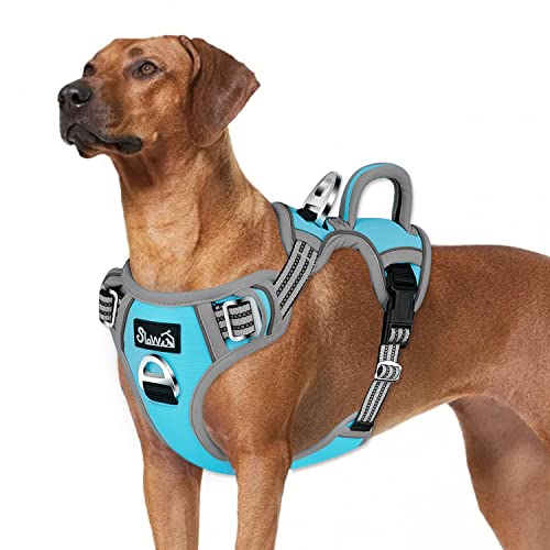 Eyein Hundegeschirr für Große Hunde, Anti Zug Brustgeschirr mit 2 Leinenclips und leicht zu bedienendem Griff, Verstellbare und reflektierende Gepolstert Geschirr für tägliches Training (Blau, L) von Eyein