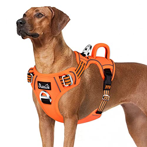 Eyein Hundegeschirr für Große Hunde, Anti Zug Brustgeschirr mit 2 Leinenclips und leicht zu bedienendem Griff, Verstellbare und reflektierende Gepolstert Geschirr für tägliches Training (Orange, XL) von Eyein