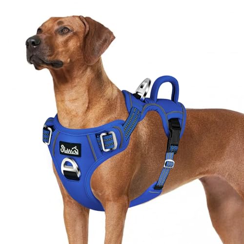 Eyein Hundegeschirr für Große Hunde, Anti Zug Brustgeschirr mit 2 Leinenclips und leicht zu bedienendem Griff, Verstellbare und reflektierende Gepolstert Geschirr für tägliches Training (Hellblau, L) von Eyein