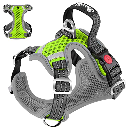 Eyein Hundegeschirr für Kleine Mittelgroße Hunde, Air Mesh Atmungsaktiv Brustgeschirr mit weichem Griff und Abschließbare Karabiner, ausbruchsicher reflektierend Hund Geschirr für Welpen, Grün, M von Eyein