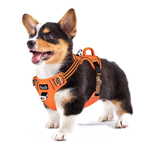 Eyein Hundegeschirr für Mittelgroßer Hunde, Anti Zug Brustgeschirr mit 2 Leinenclips und leicht zu bedienendem Griff, Verstellbare und reflektierende Gepolstert Geschirr für Spaziergänge (Orange, M) von Eyein