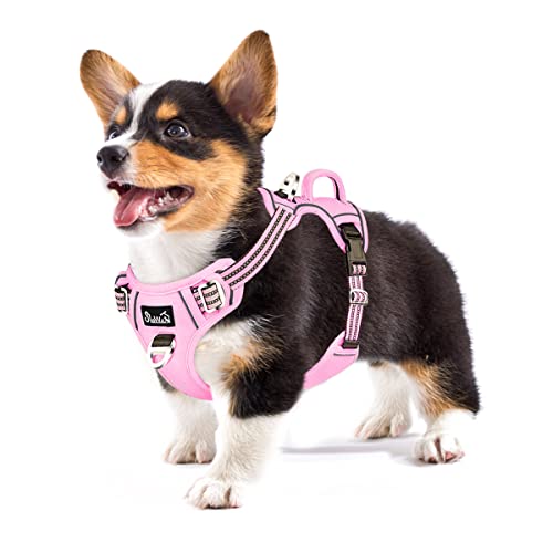 Eyein Hundegeschirr für Mittelgroßer Hunde, Anti Zug Brustgeschirr mit 2 Leinenclips und leicht zu bedienendem Griff, Verstellbare und reflektierende Gepolstert Geschirr für Spaziergänge (Rosa, M) von Eyein