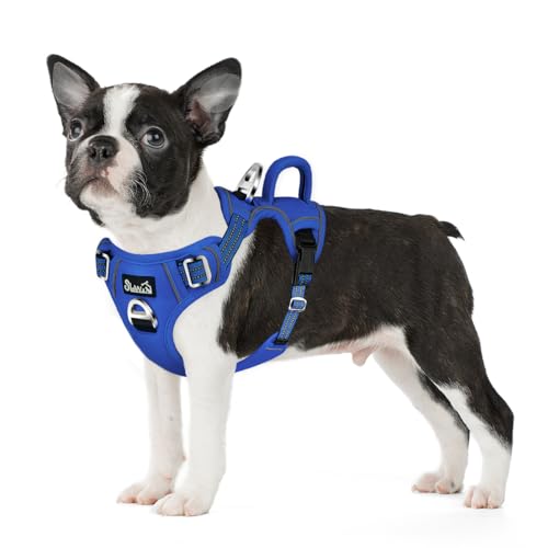 Eyein Hundegeschirr für kleine Hunde, Anti Zug Brustgeschirr mit 2 Leinenclips und leicht zu bedienendem Griff, Verstellbare und reflektierende Gepolstert Geschirr für tägliches Training (Hellblau, S) von Eyein