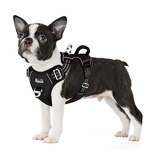 Eyein Hundegeschirr für kleine Hunde, Anti Zug Brustgeschirr mit 2 Leinenclips und leicht zu bedienendem Griff, Verstellbare und reflektierende Gepolstert Geschirr für tägliches Training (Schwarz, S) von Eyein