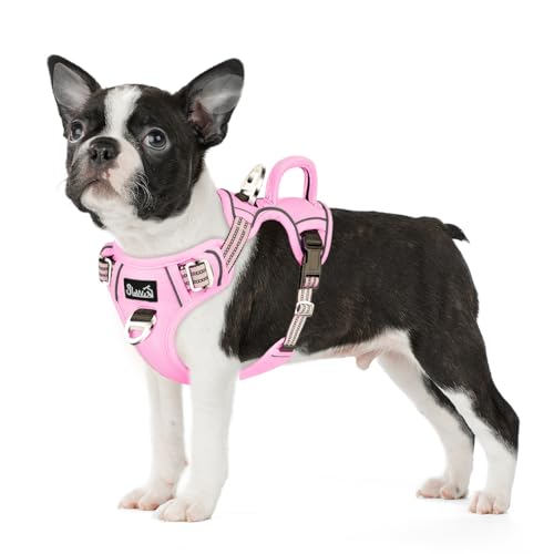 Eyein Hundegeschirr für kleine Hunde, Anti Zug Brustgeschirr mit 2 Leinenclips und leicht zu bedienendem Griff, Verstellbare und reflektierende Gepolstert Geschirr für tägliches Training (Rosa, S) von Eyein