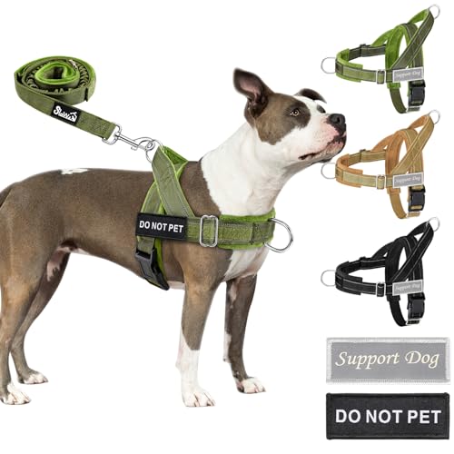 Eyein Hundegeschirr mit Leine für große mittelgroße Hunde, Weich gepolsterter Brustgeschirr mit 2 Leinenclips, Reflektierend & Leichtgewicht Anti Zug Geschirr für Spaziergänge Training, Grün, M Eyein Hundegeschirr mit Leine für große mittelgroße Hunde, Weich gepolsterter Brustgeschirr mit 2 Leinenclips, Reflektierend & Leichtgewicht Anti Zug Geschirr für Spaziergänge Training, Grün, M von Eyein