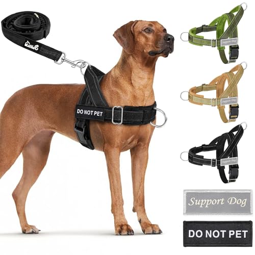 Eyein Hundegeschirr mit Leine für große mittelgroße Hunde, Weich gepolsterter Brustgeschirr mit 2 Leinenclips, Reflektierend & Leichtgewicht Anti Zug Geschirr für Spaziergänge Training, Schwarz, L Eyein Hundegeschirr mit Leine für große mittelgroße Hunde, Weich gepolsterter Brustgeschirr mit 2 Leinenclips, Reflektierend & Leichtgewicht Anti Zug Geschirr für Spaziergänge Training, Schwarz, L von Eyein