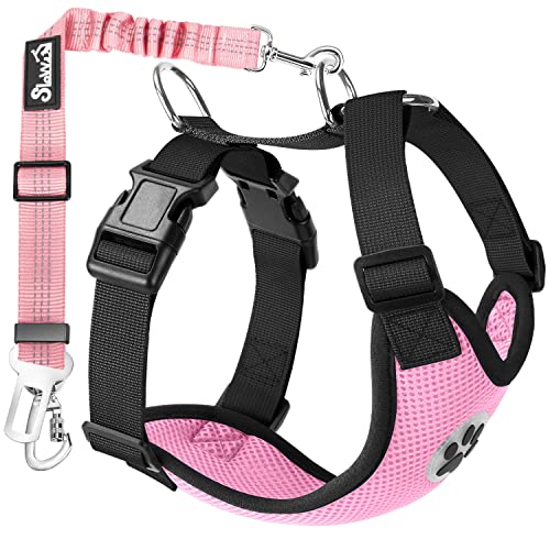 Eyein Hunde Anschnallgurt für Auto, Hund Sicherheitsgurt mit Atmungsaktiv Hundegeschirr, Elastische & Verstellbare Hundegurt für Kleine und Mittlere Hunde und Alle Autotypen (Rosa, M) von Eyein