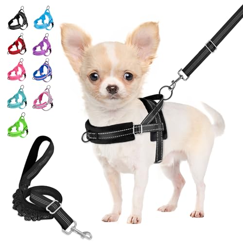 Eyein Hundegeschirr mit Leine für mittelgroße Kleine Hunde, Weich gepolsterter No-Pull Brustgeschirr mit 2 Leinenclips, Leichtgewicht Reflektierend Geschirr Hals und Brust verstellbar (Schwarz, XS) von Eyein