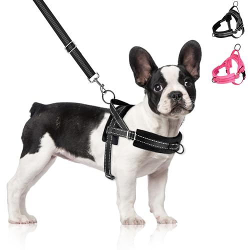 Eyein Hundegeschirr mit Leine für mittelgroße Kleine Hunde, Weich gepolsterter No-Pull Brustgeschirr mit 2 Leinenclips, Leichtgewicht Reflektierend Geschirr Hals und Brust verstellbar (Schwarz, L) Eyein Hundegeschirr mit Leine für mittelgroße Kleine Hunde, Weich gepolsterter No-Pull Brustgeschirr mit 2 Leinenclips, Leichtgewicht Reflektierend Geschirr Hals und Brust verstellbar (Schwarz, L) von Eyein