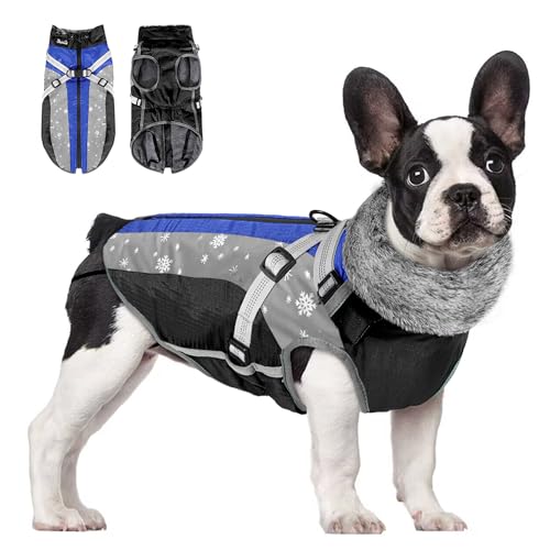 Eyein Hundemantel Winter, Wasserdichter Fleece Hundemantel mit Geschirr für kleine, mittlere und große Hunde, reflektierende verstellbare Welpenweste für Spaziergänge im Freien (Blau, L) von Eyein