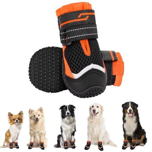 Eyein Hundeschuhe Pfotenschutz, 2 Stück atmungsaktiv Hundeschuhe mit Rutschfester Sohle und reflektierendem Klettverschluss für kleine, mittlere und große Hunde, Sport im Freien, Orange, Größe 8 Eyein Hundeschuhe Pfotenschutz, 2 Stück atmungsaktiv Hundeschuhe mit Rutschfester Sohle und reflektierendem Klettverschluss für kleine, mittlere und große Hunde, Sport im Freien, Orange, Größe 8 von Eyein