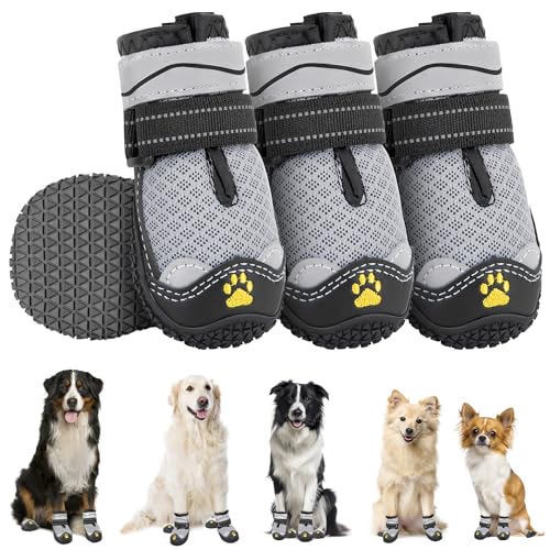 Eyein Hundeschuhe Pfotenschutz, 4 Stück atmungsaktiv Hundeschuhe mit Rutschfester Sohle und reflektierendem Klettverschluss für kleine, mittlere und große Hunde, Sport im Freien, Grau, Größe 3 Eyein Hundeschuhe Pfotenschutz, 4 Stück atmungsaktiv Hundeschuhe mit Rutschfester Sohle und reflektierendem Klettverschluss für kleine, mittlere und große Hunde, Sport im Freien, Grau, Größe 3 von Eyein