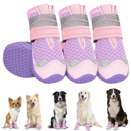 Eyein Hundeschuhe Pfotenschutz, 4 Stück atmungsaktiv Hundeschuhe mit Rutschfester Sohle und reflektierendem Klettverschluss für kleine, mittlere und große Hunde, Sport im Freien, Lila, Größe 3 Eyein Hundeschuhe Pfotenschutz, 4 Stück atmungsaktiv Hundeschuhe mit Rutschfester Sohle und reflektierendem Klettverschluss für kleine, mittlere und große Hunde, Sport im Freien, Lila, Größe 3 von Eyein